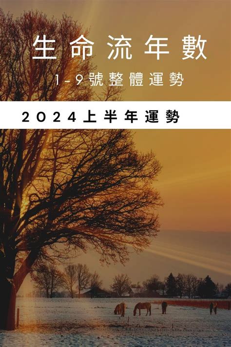 2024 八字 運勢|V生命靈數／ 2024上半年【整體運勢】分析&生命流年。